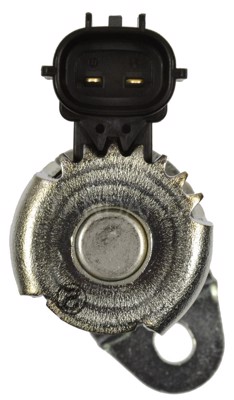 VVT194