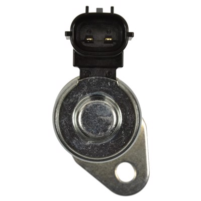 VVT219