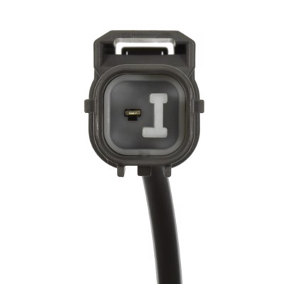 VVT225