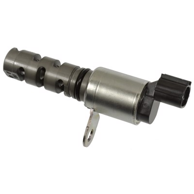 VVT244
