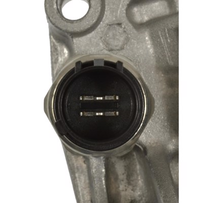 VVT304