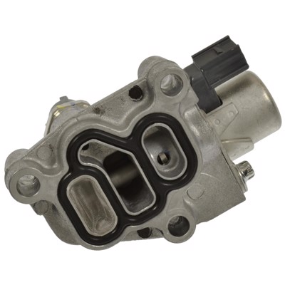 VVT304