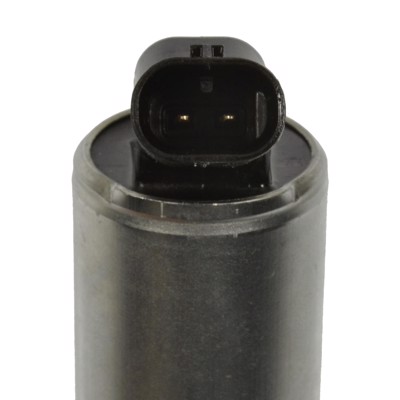 VVT318