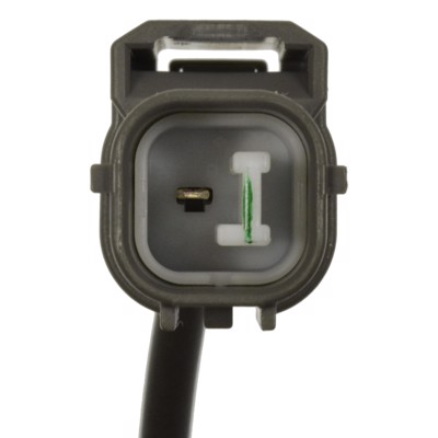 VVT382