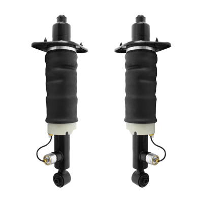 Rear Pair Air Suspension Strut Assemblies for 2001-2005 Audi Allroad Quattro C5