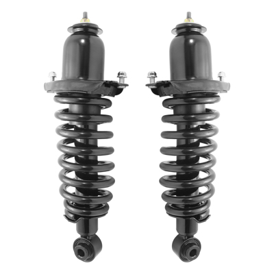 Rear Pair Complete Strut and Coil Spring Assemblies for Pontiac Toyota Matrix Vibe AWD